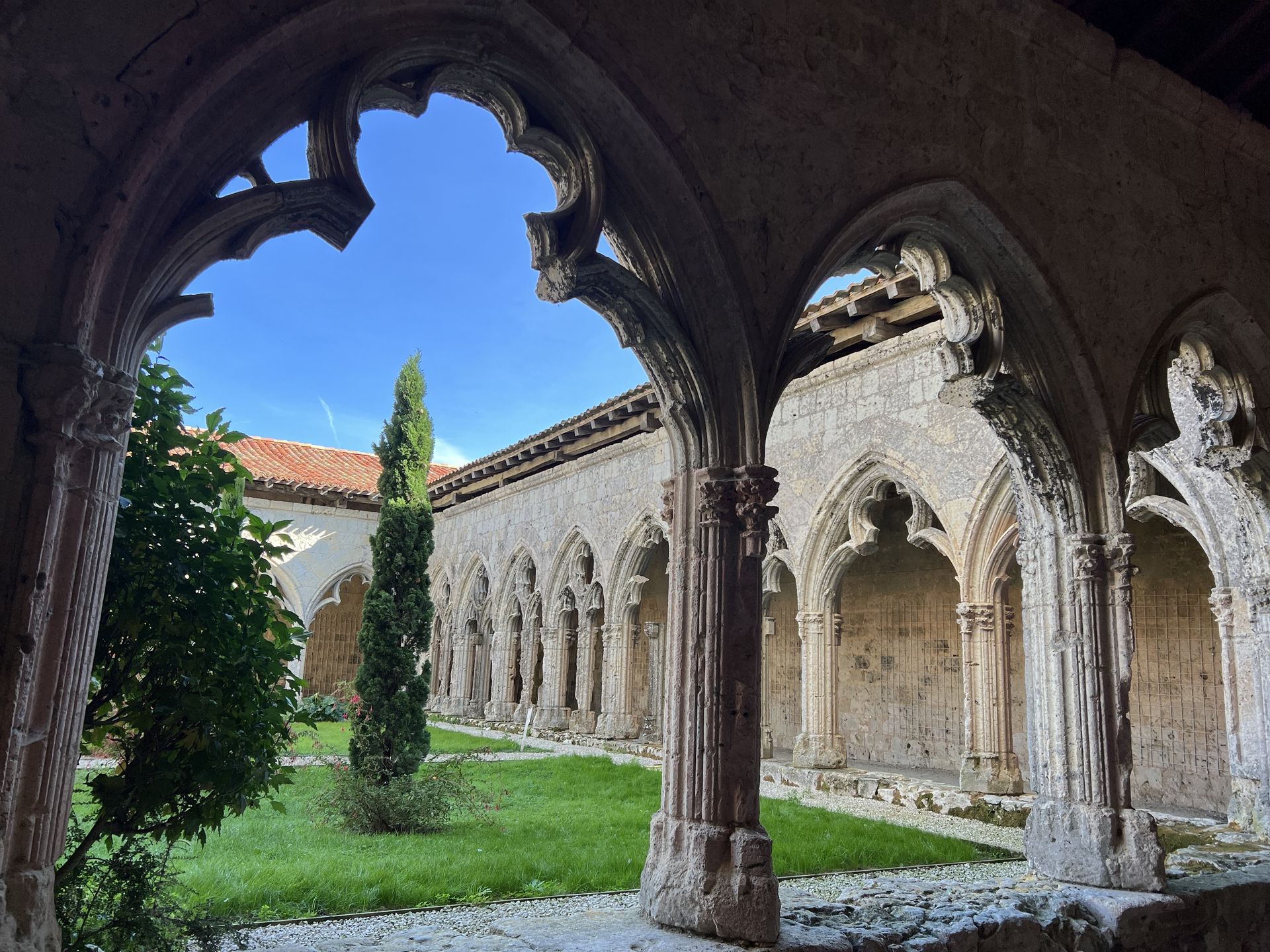 cloître avec une vue sur un cyprès